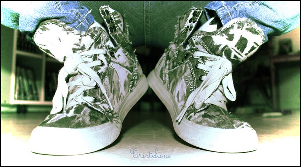 http://anicroche.cowblog.fr/images/Photos/yourshoes.jpg